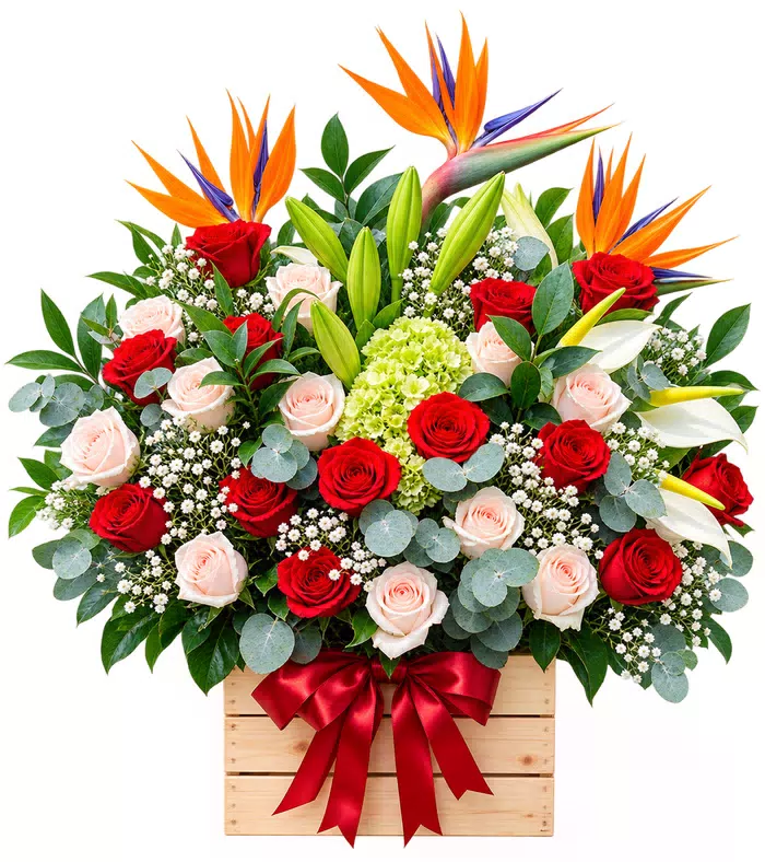 Hộp hồng đỏ ly trắng