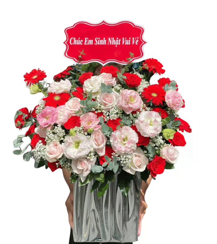 Hộp hồng đỏ phối đồng tiền đỏ