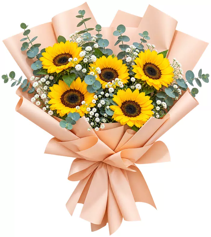 Bó hoa hướng dương, giấy cam nhạt