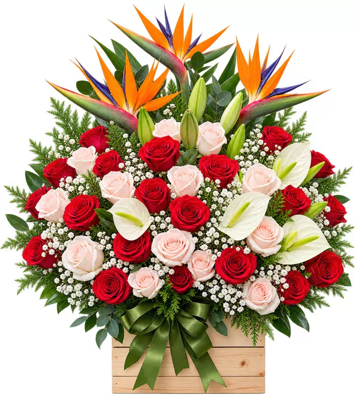 Hộp hồng đỏ thiên điểu, ly trắng và nơ xanh