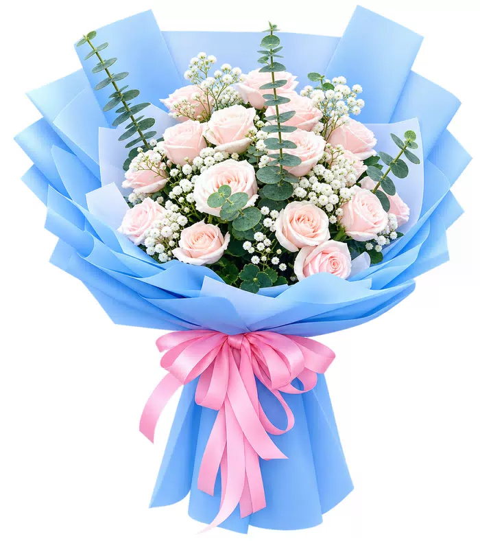 Bó hồng phấn, giấy xanh, nơ hồng