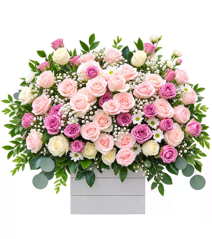 Hộp hồng phấn phối cát tường