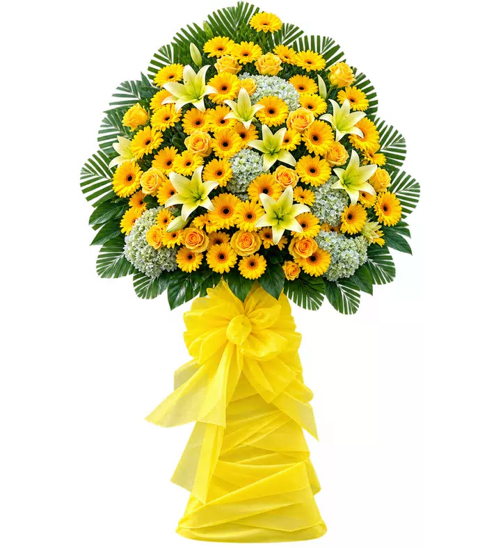 Kệ khai trương vàng hướng dương