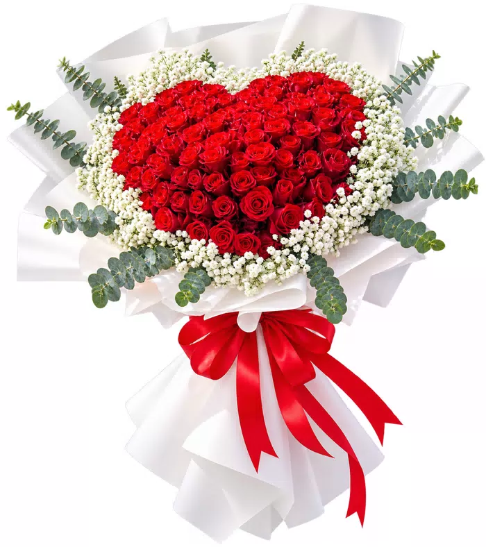 Bó hồng trái tim gói trắng, nơ đỏ