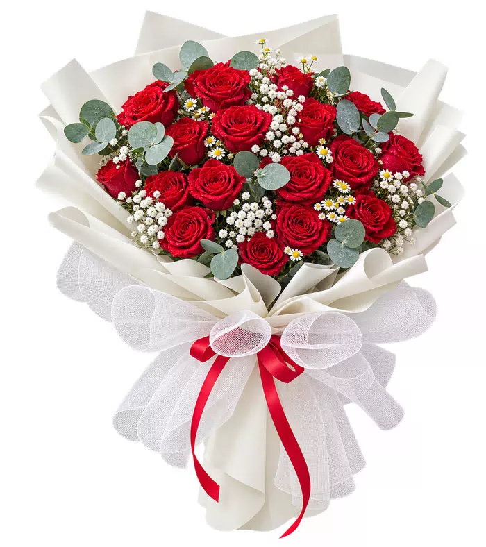 Bó hồng đỏ, giấy trắng lưới