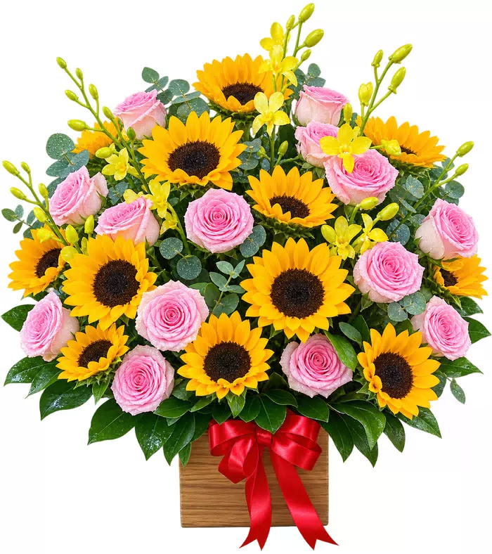 Hộp hoa hướng dương hồng phấn