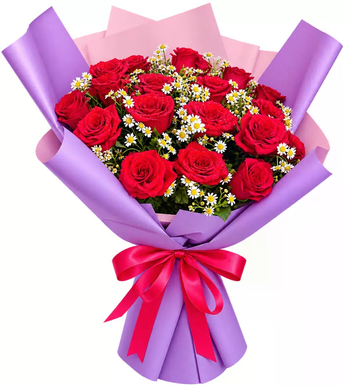 Bó hồng đỏ, giấy tím