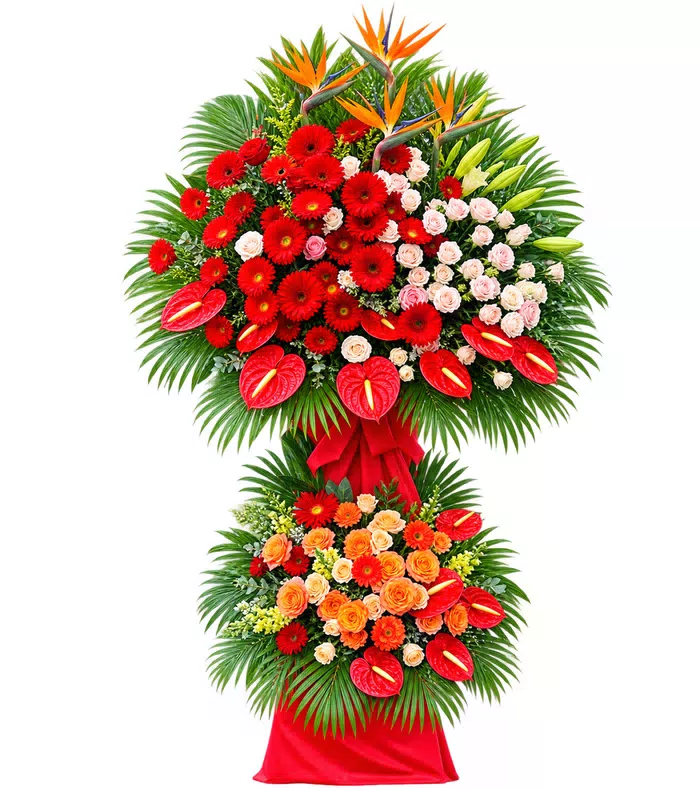 Kệ khai trương đỏ thiên điểu, hoa trắng và vải vàng