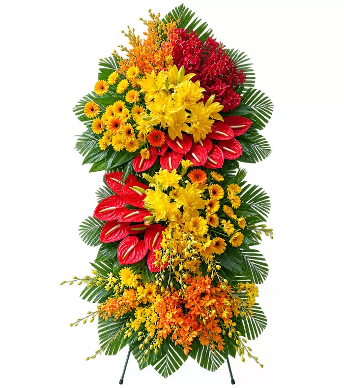 Kệ khai trương vàng đỏ dáng dài