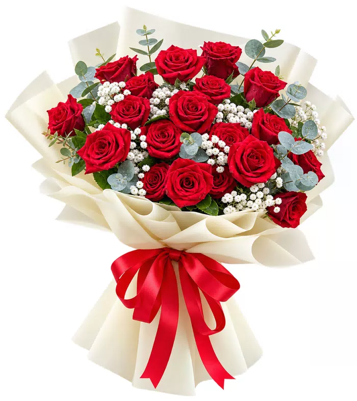 Bó hồng đỏ gói trắng kem, nơ đỏ