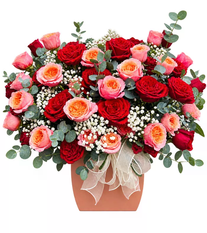 Hộp hồng đỏ cam phấn