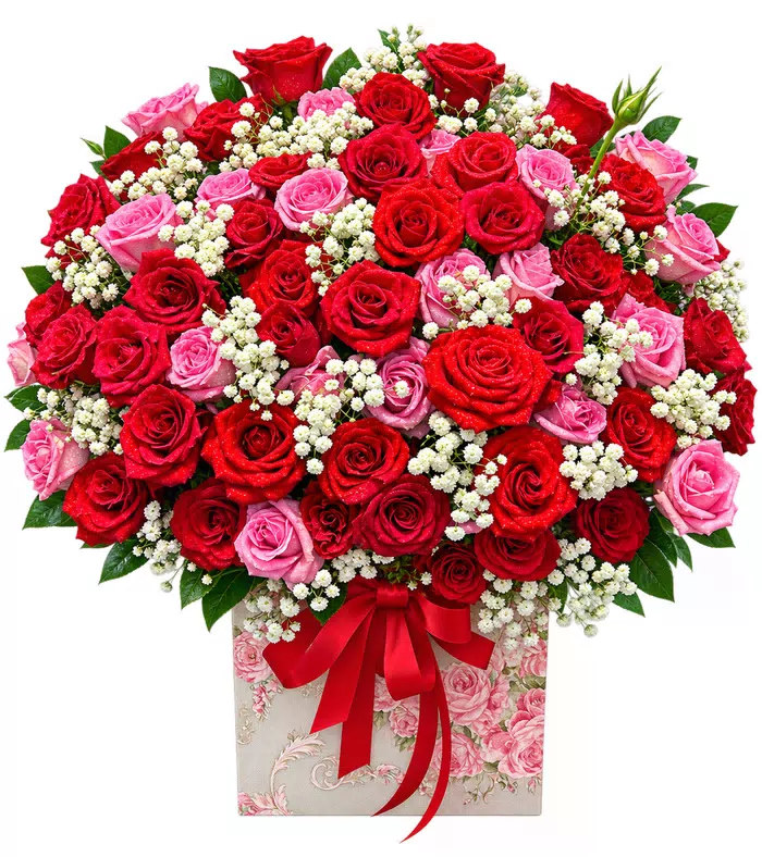 Hộp hồng đỏ hồng phấn, nơ đỏ