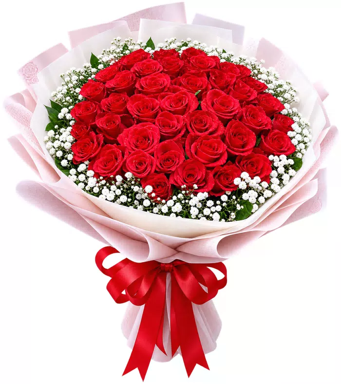 Bó hồng đỏ tròn, giấy hồng
