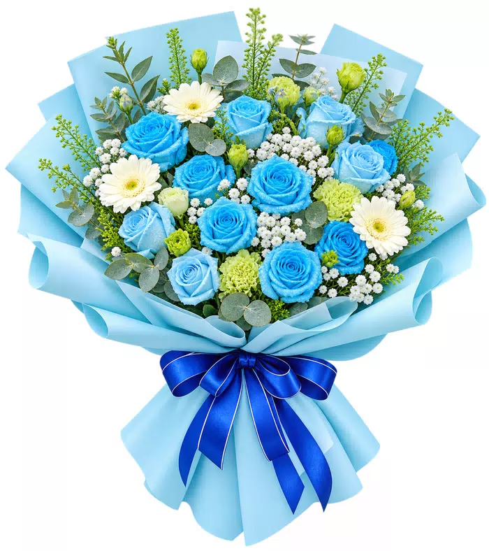 Bó hồng xanh phối cúc trắng