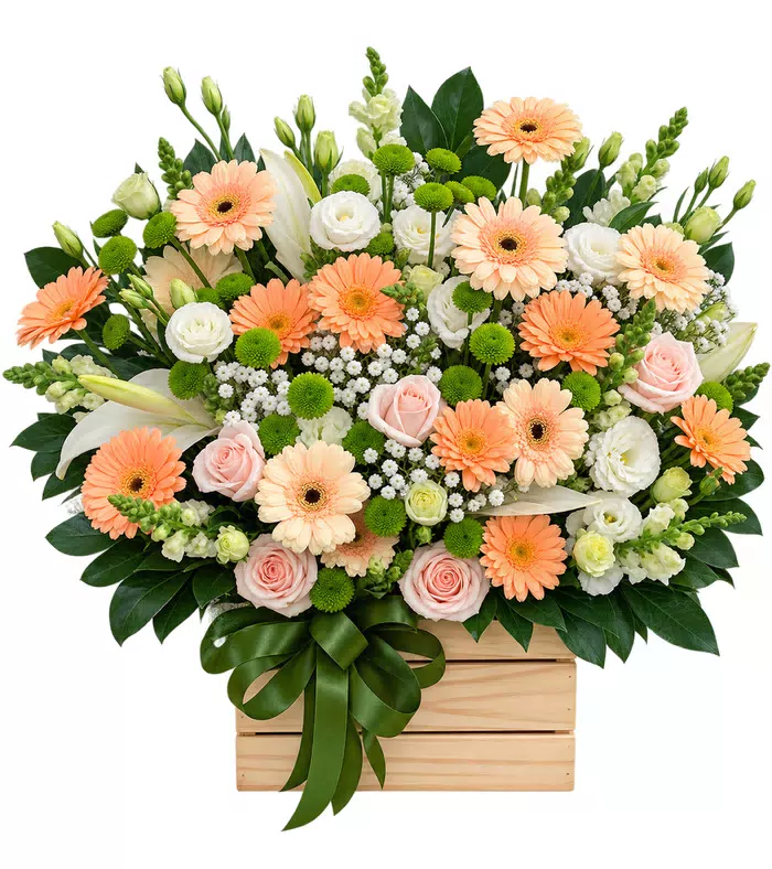 Hộp đồng tiền cam nhạt