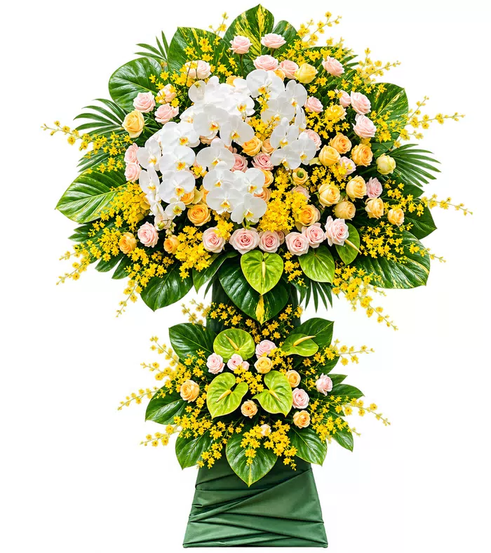 Kệ khai trương kem lan trắng