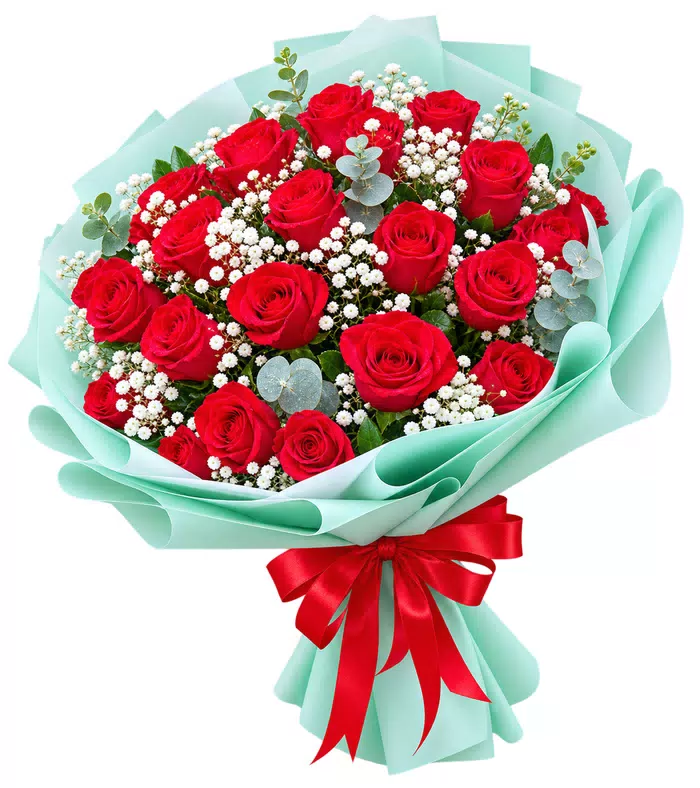 Bó hồng đỏ gói xanh ngọc, nơ đỏ