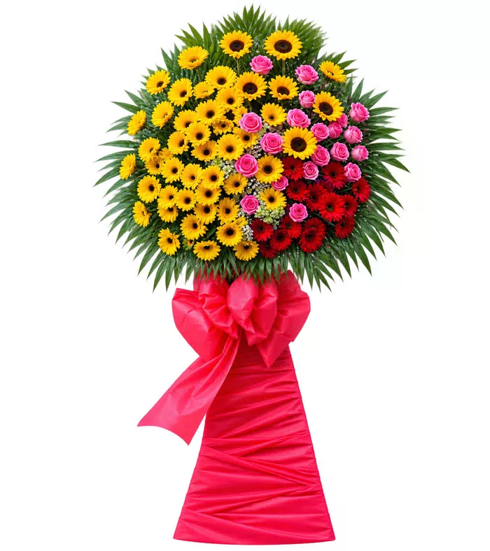 Kệ khai trương đồng tiền nhiều màu
