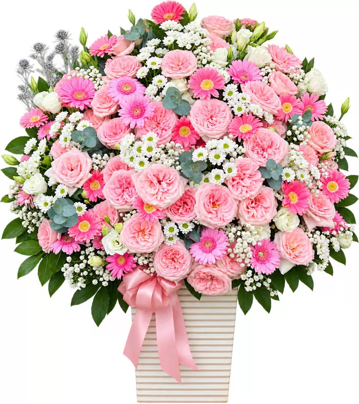 Giỏ hồng phấn phối đồng tiền