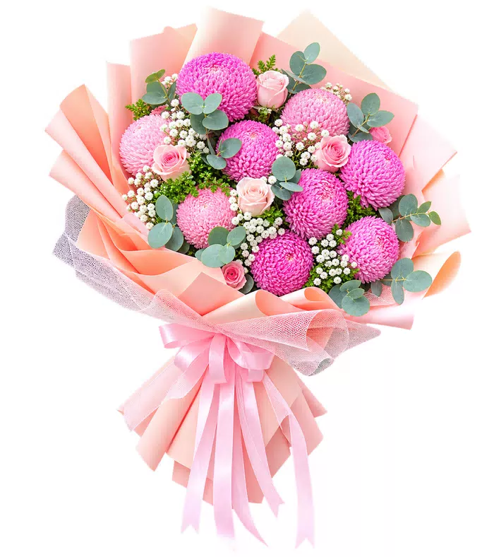 Bó hoa cúc mẫu đơn hồng