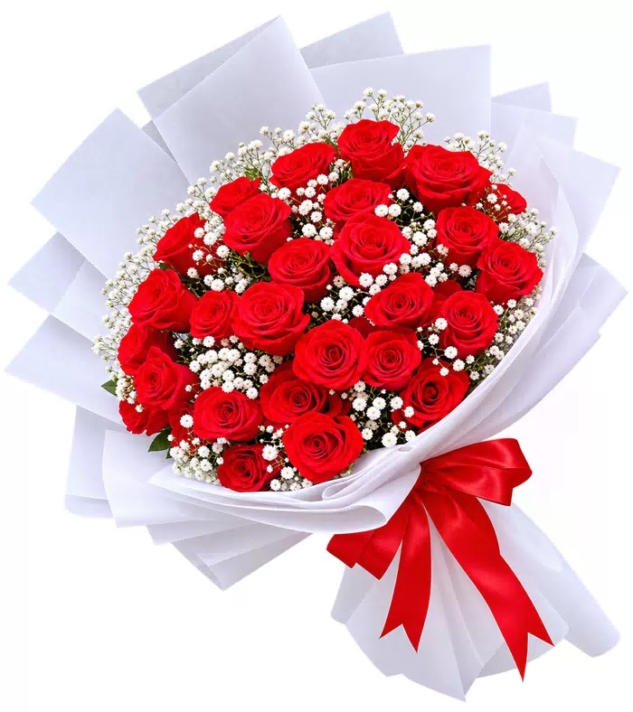 Bó hồng đỏ gói trắng