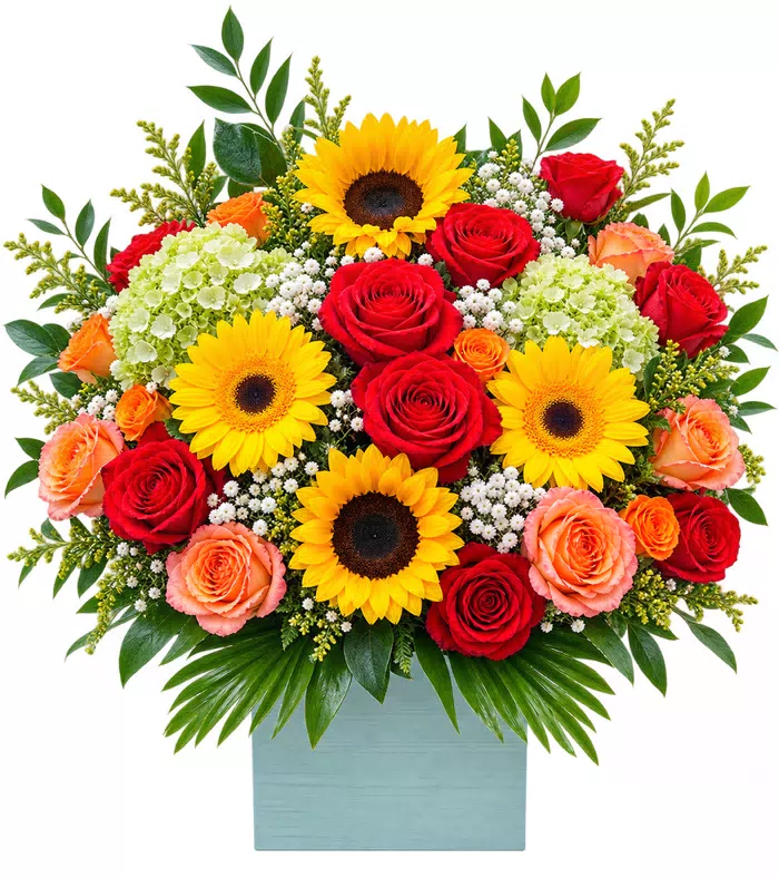 Hộp hoa hướng dương phối hồng đỏ