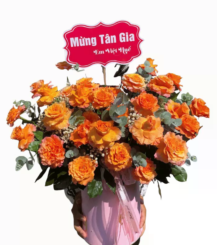 Hộp hồng cam phối cẩm chướng cam