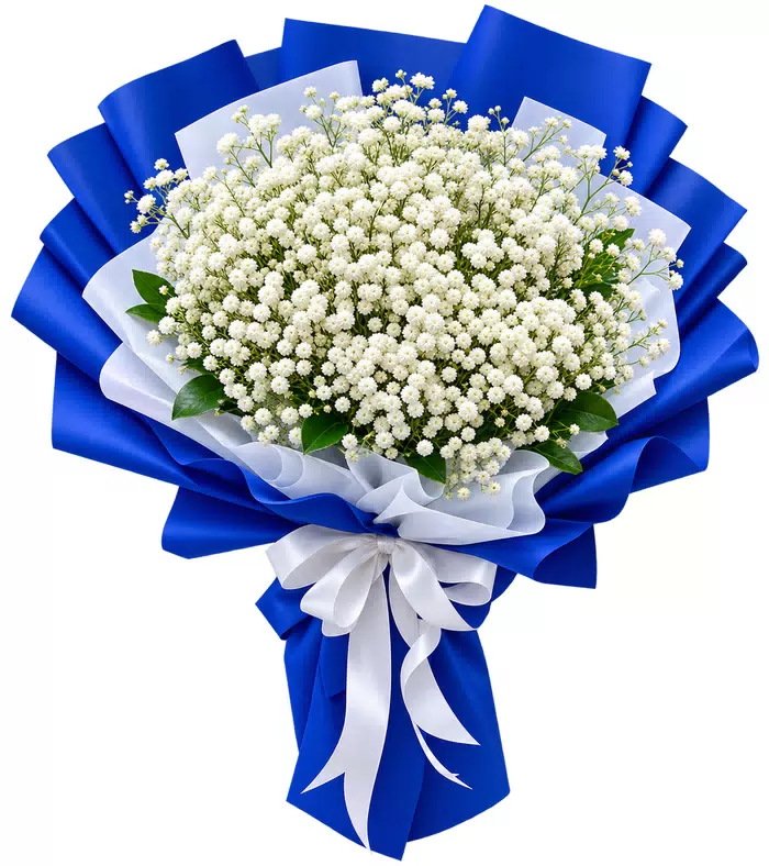 Bó hoa điểm baby trắng, giấy xanh