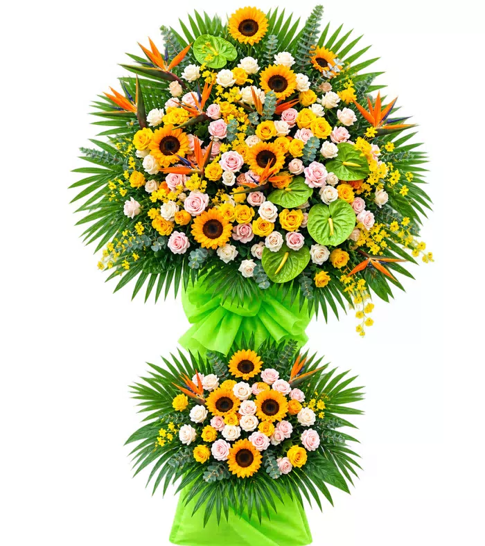 Kệ khai trương hướng dương hồng phấn, lá xanh và vải xanh