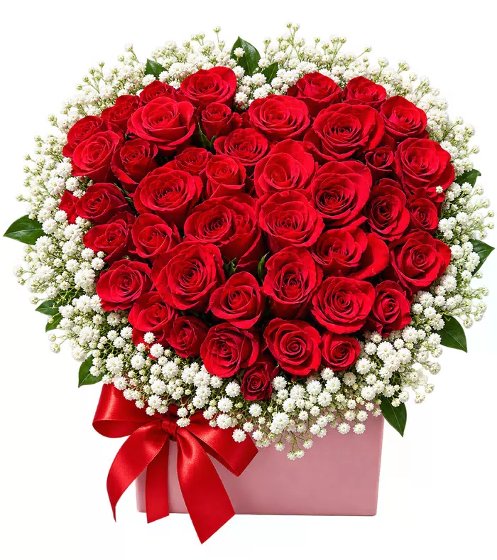 Hộp hồng đỏ trái tim
