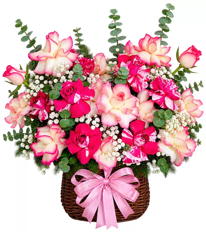 Giỏ hồng phối lan hồng