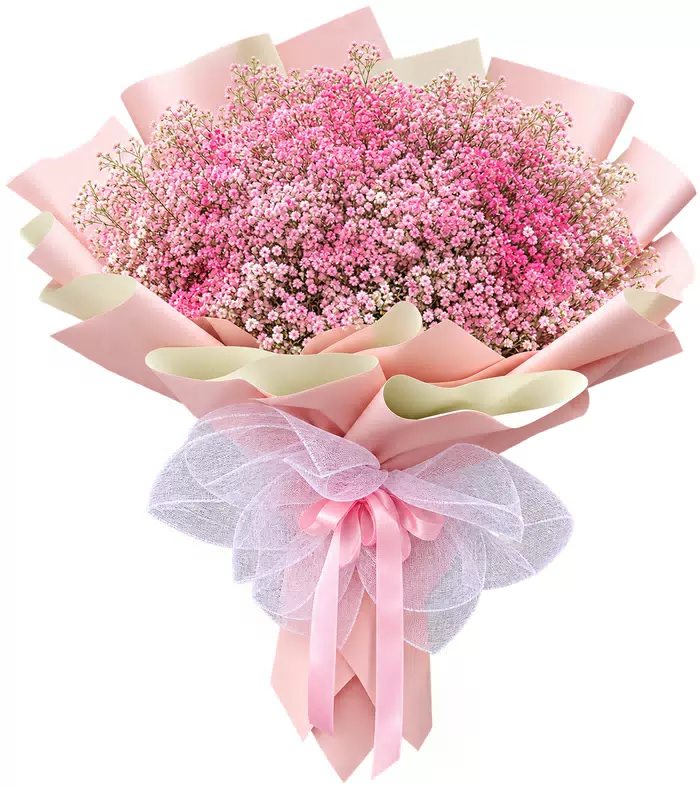 Bó hoa điểm baby hồng phấn