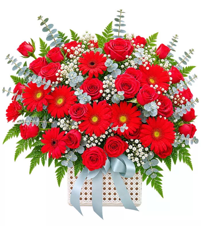 Giỏ hồng đỏ phối đồng tiền, nơ trắng