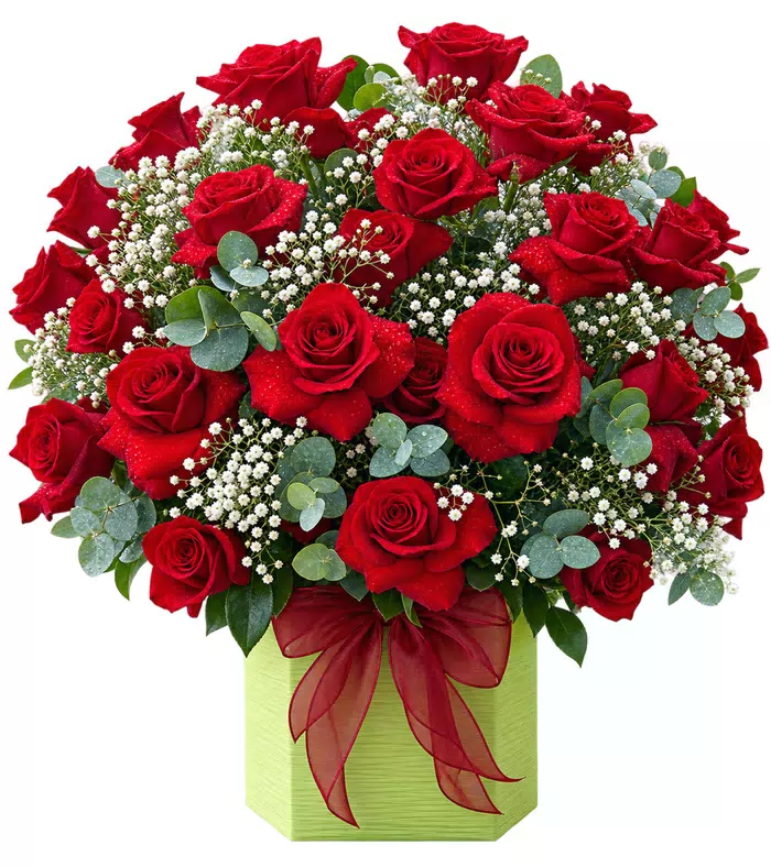 Giỏ hồng đỏ xanh lá