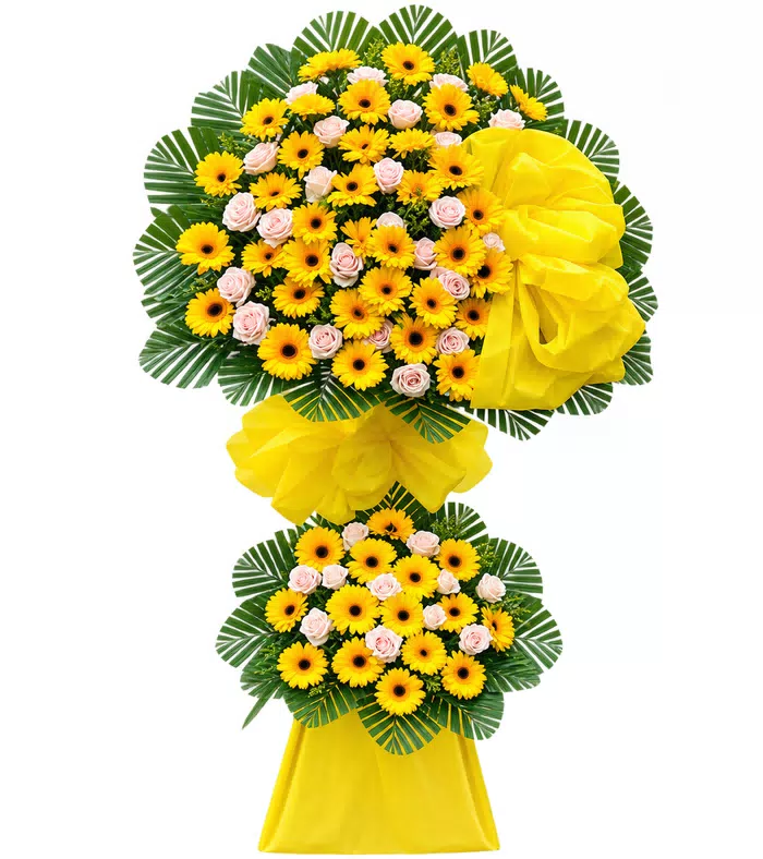 Kệ khai trương đồng tiền vàng hồng, vải và nơ vàng