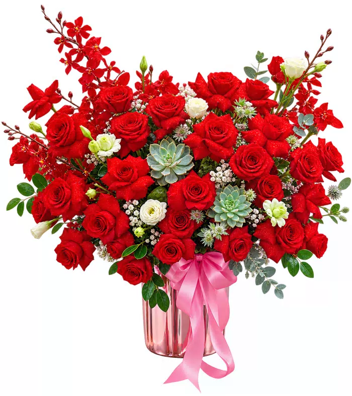 Bình hồng đỏ phối lan