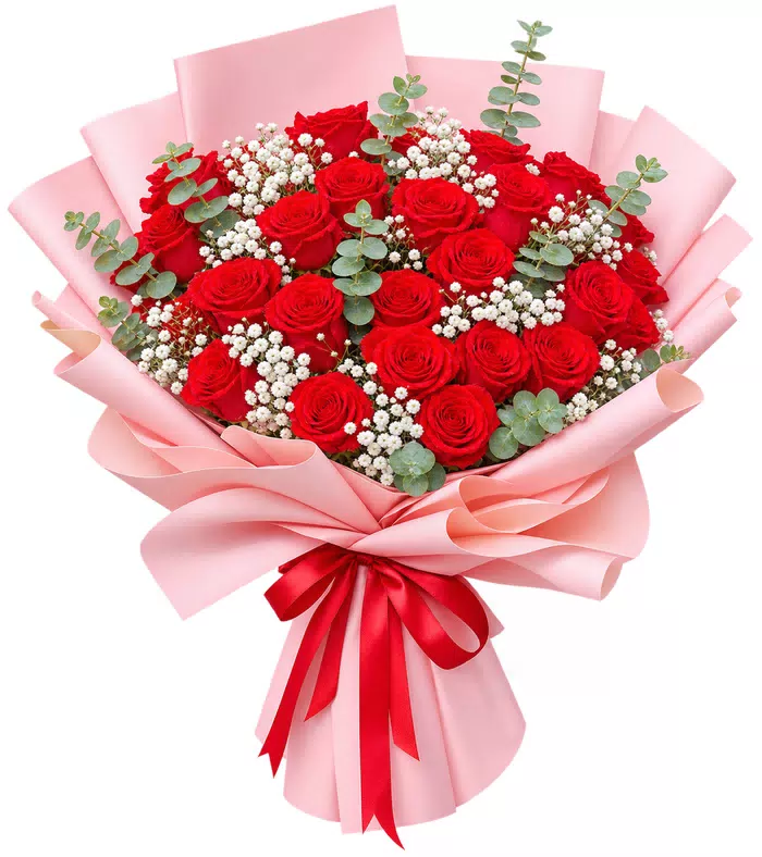 Bó hồng đỏ, giấy hồng, nơ đỏ