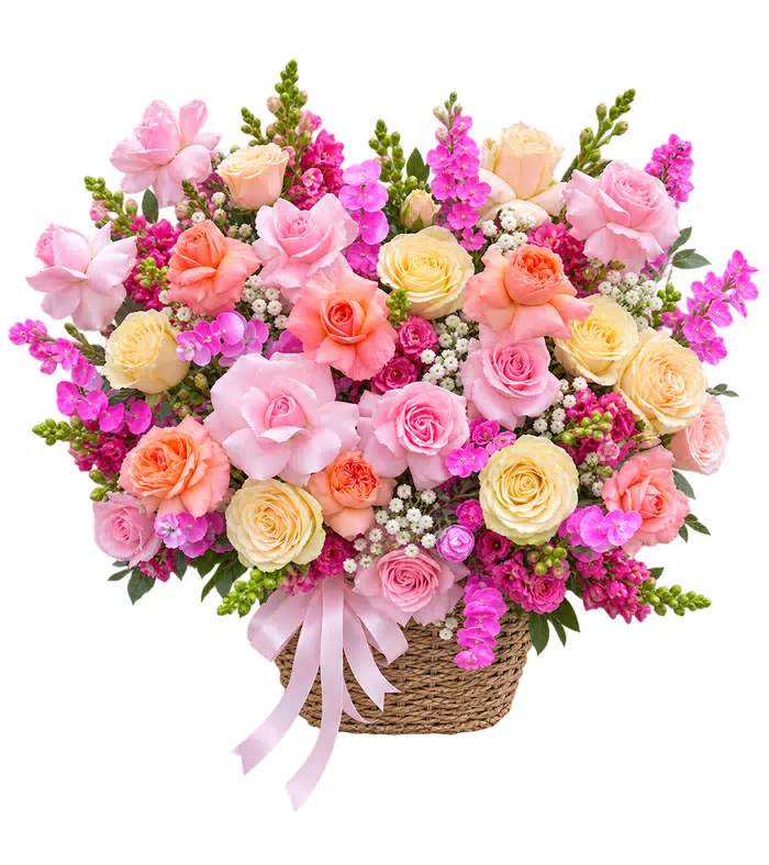 Giỏ hồng phấn kem