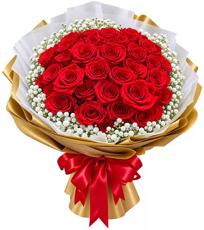 Bó hồng đỏ tròn gói vàng