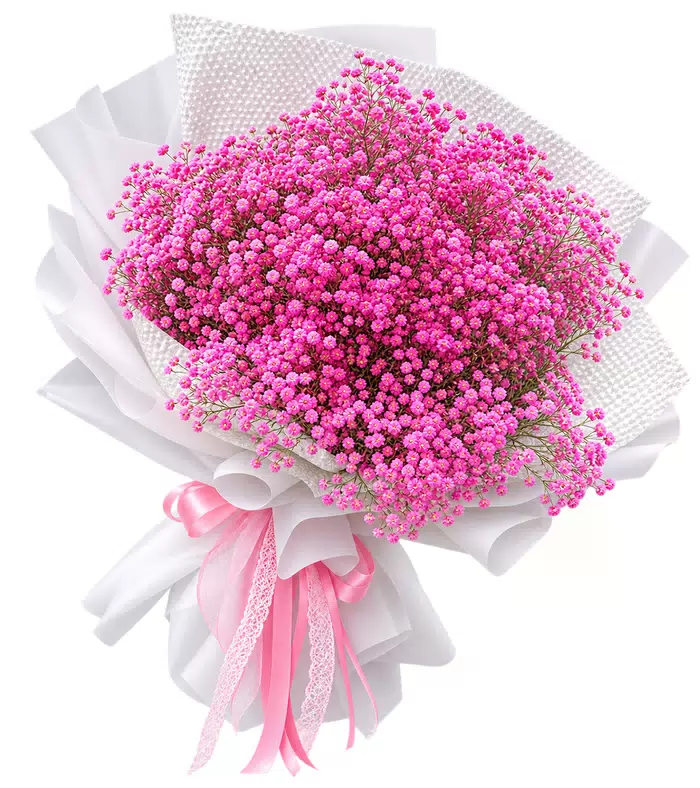 Bó hoa điểm baby hồng, giấy trắng