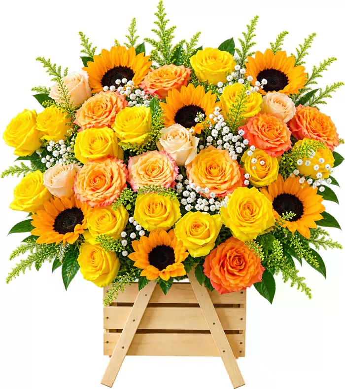 Giỏ hoa hướng dương hồng vàng, lá xanh và giỏ gỗ có quai