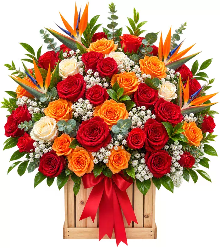 Hộp hồng đỏ cam phối thiên điểu