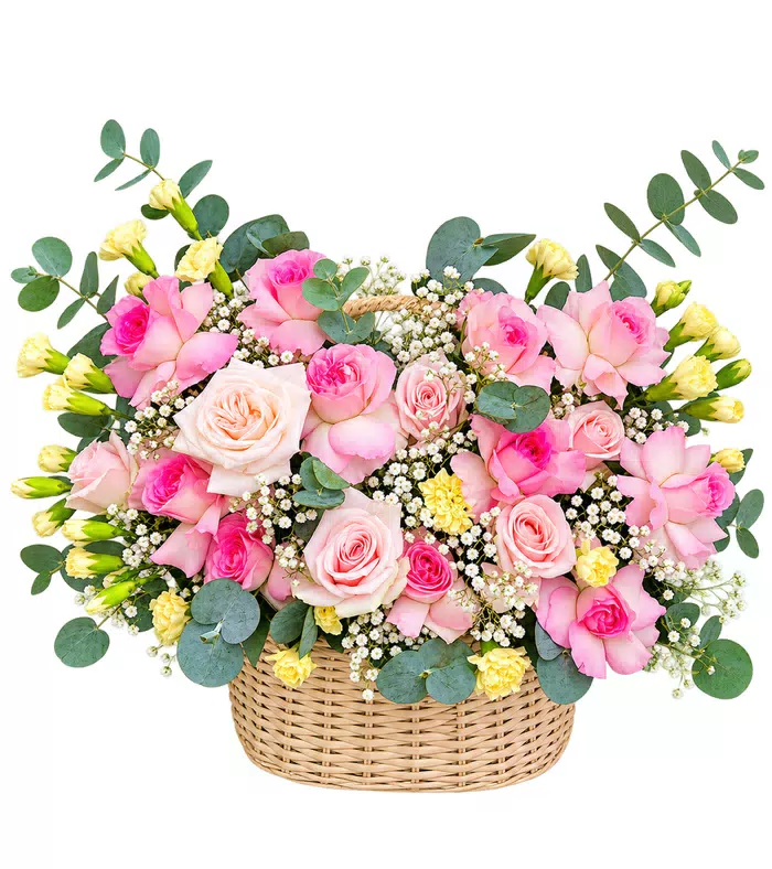 Giỏ hồng phấn phối lan, giỏ đan thấp