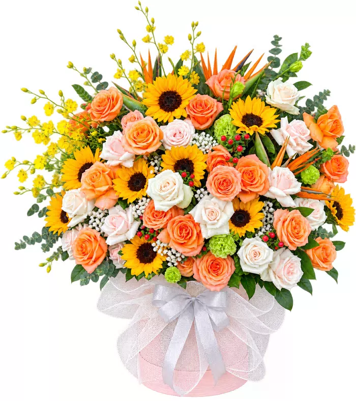 Giỏ hoa hướng dương hồng cam, thiên điểu và nơ trắng