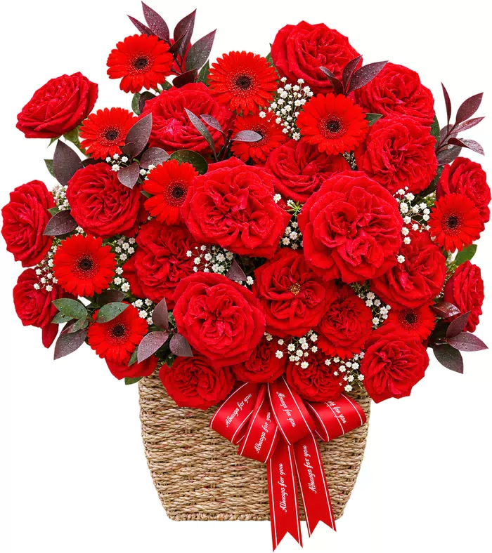 Giỏ hồng đỏ phối đồng tiền, nơ đỏ
