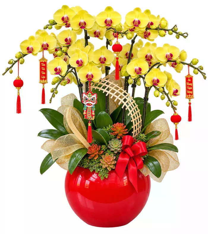 Lan hồ điệp vàng, giấy lưới