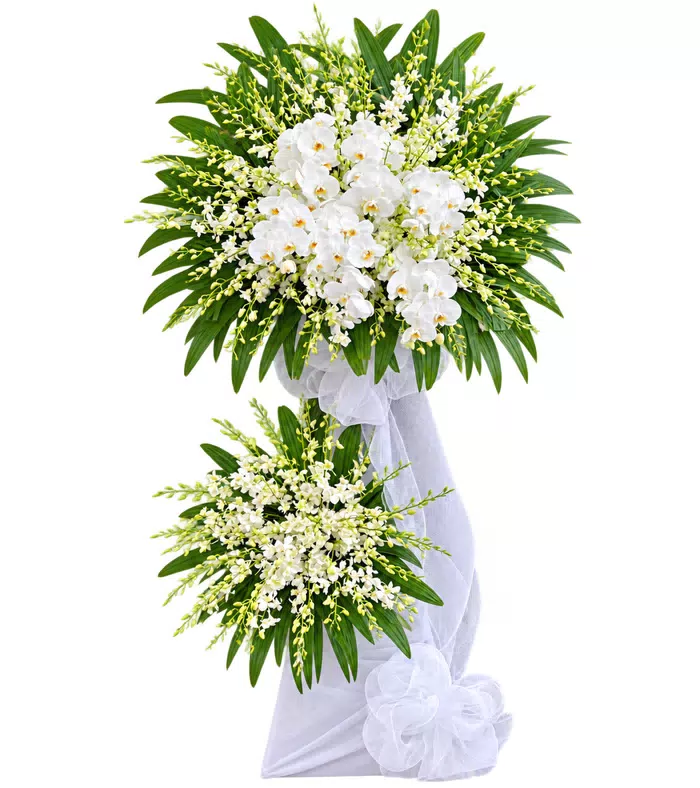 Kệ hoa viếng lan trắng, lá xanh và vải trắng