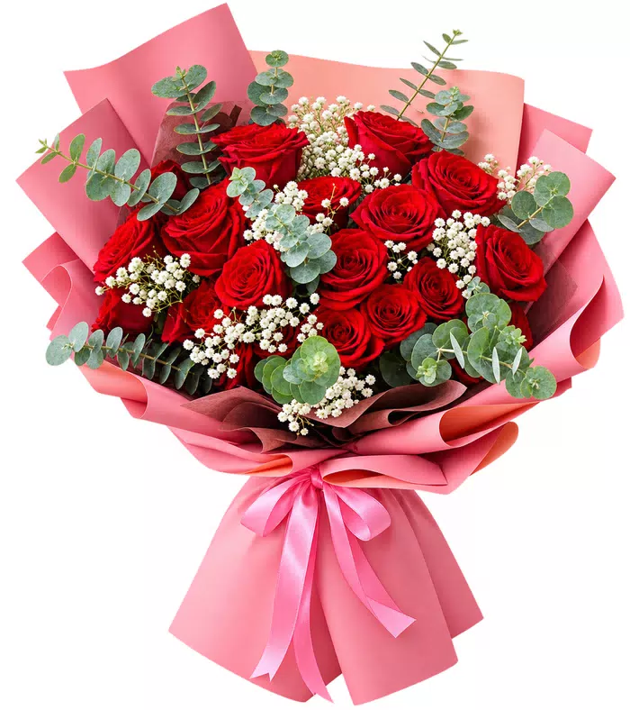Bó hồng đỏ gói hồng, nơ hồng