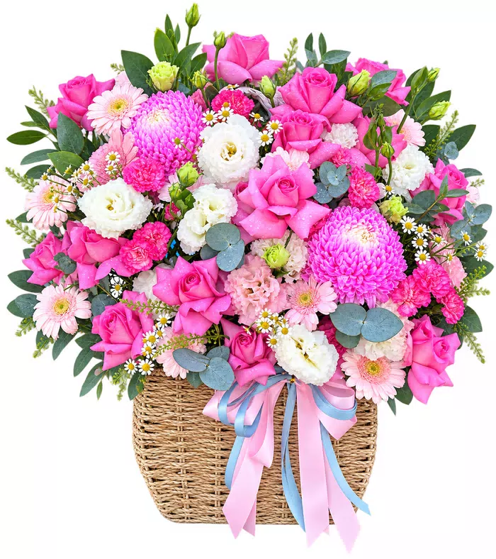 Giỏ cúc hồng điểm hoa trắng