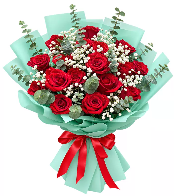 Bó hồng đỏ gói xanh ngọc, nơ đỏ